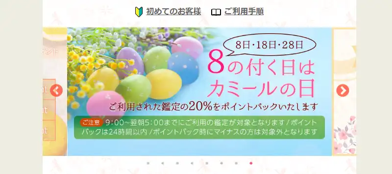 カミールのキャンペーン