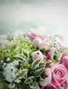 岩代(いわしろ)先生