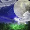 妙鈴法100